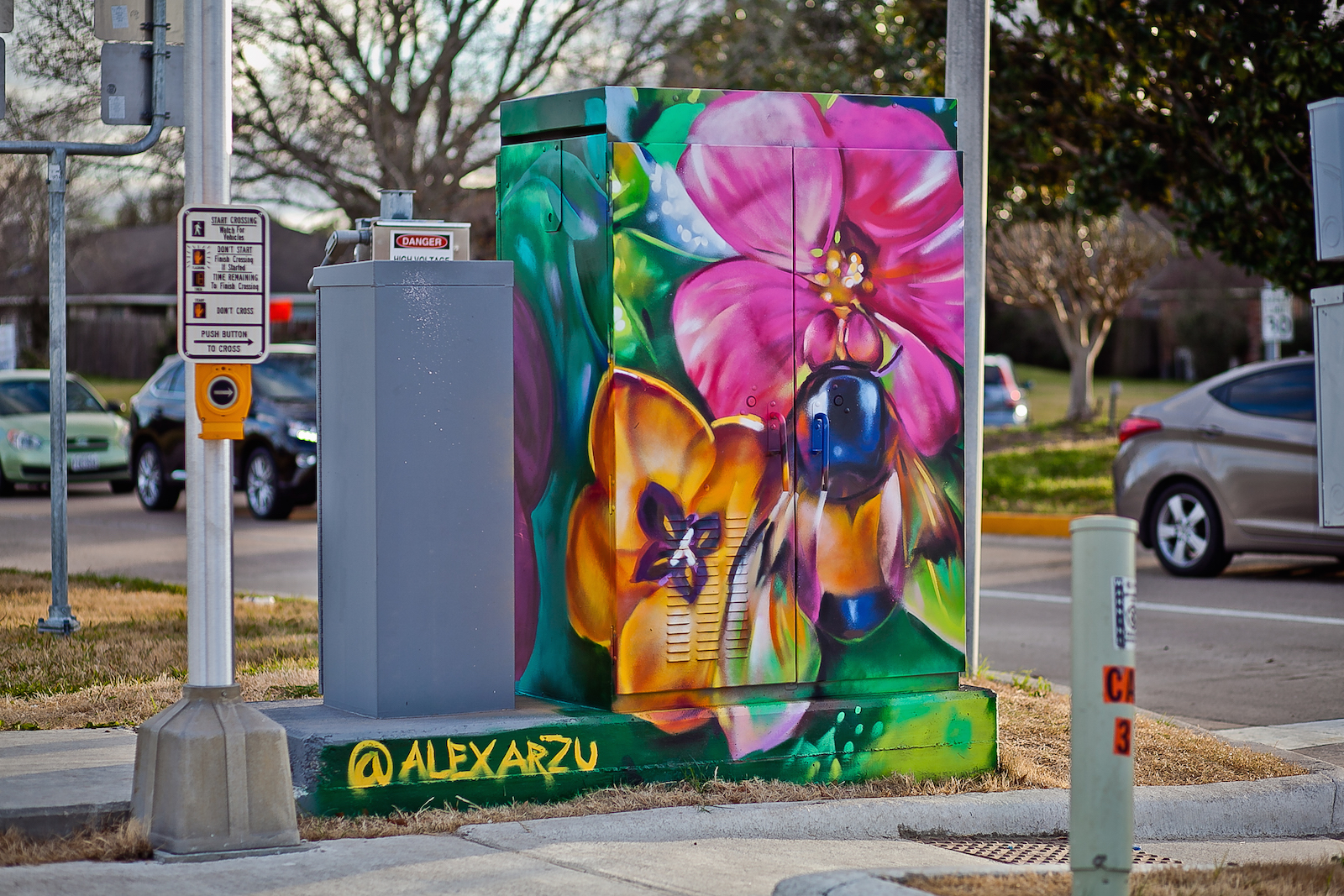 0054_014_AlexArzu