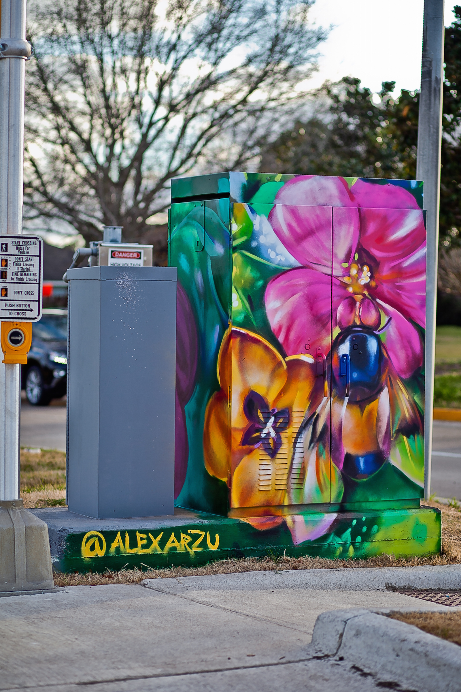 0054_015_AlexArzu
