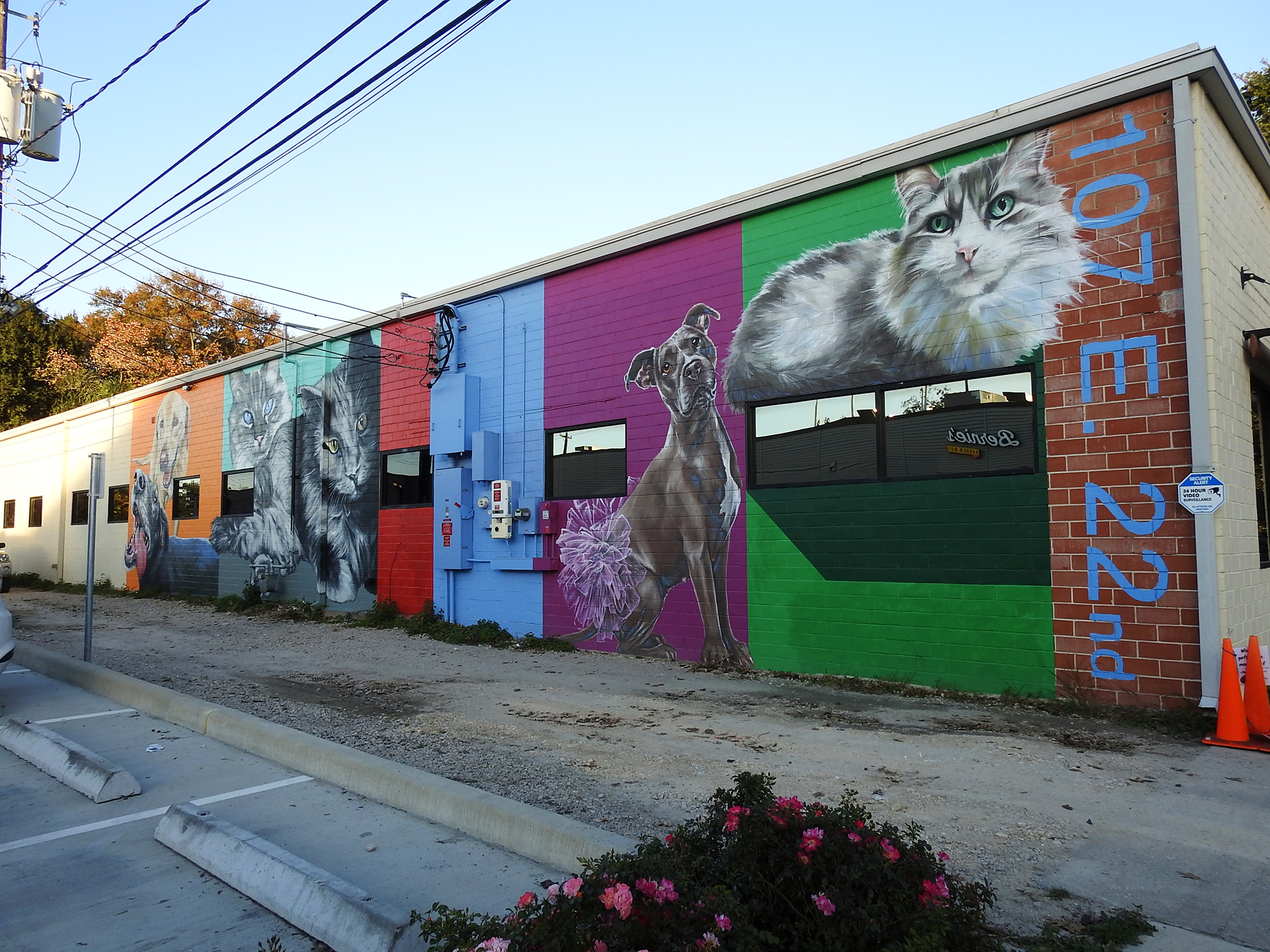 Friends for Life mural – Friends For Life