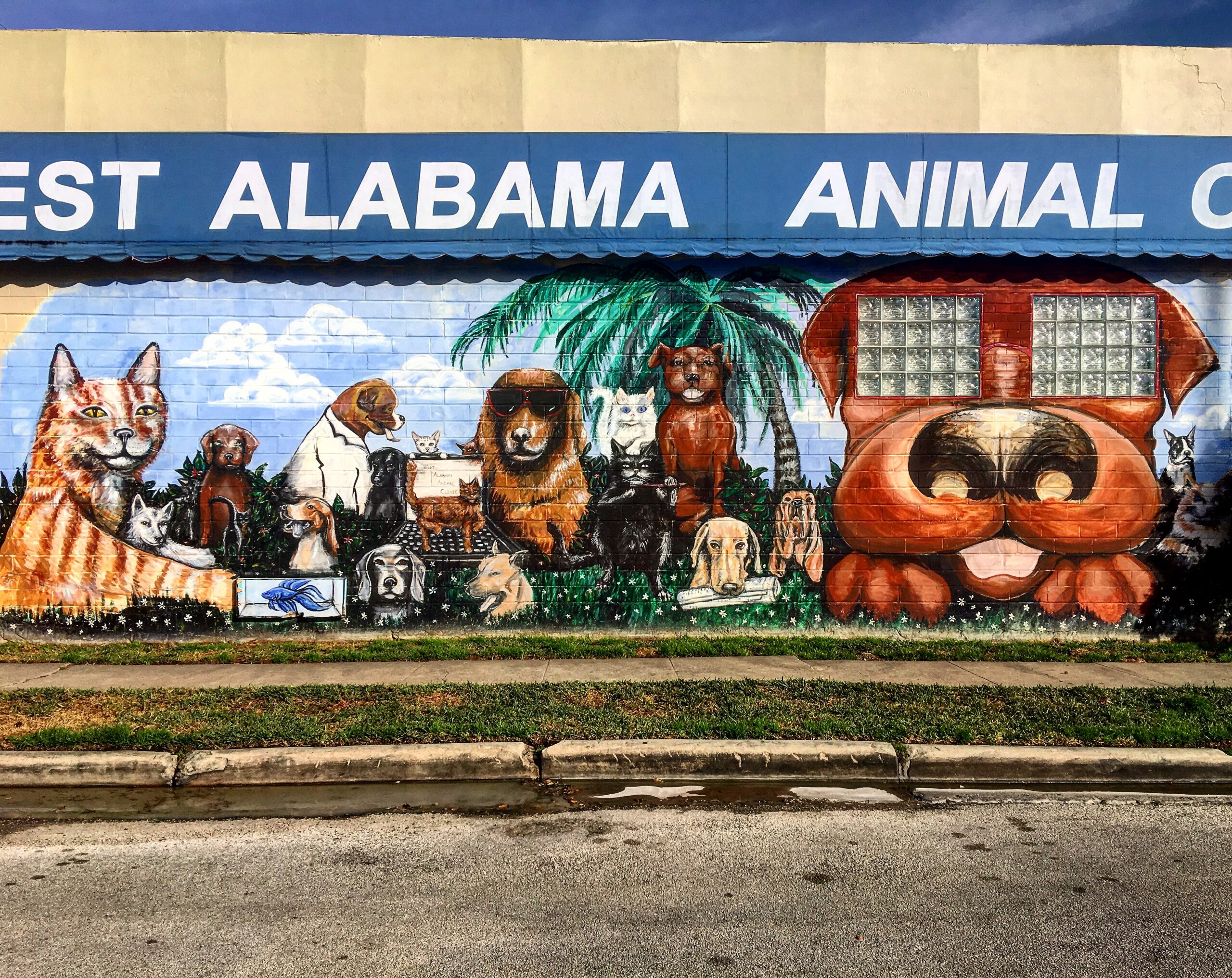 Photo Jan 20, 3 35 24 PM