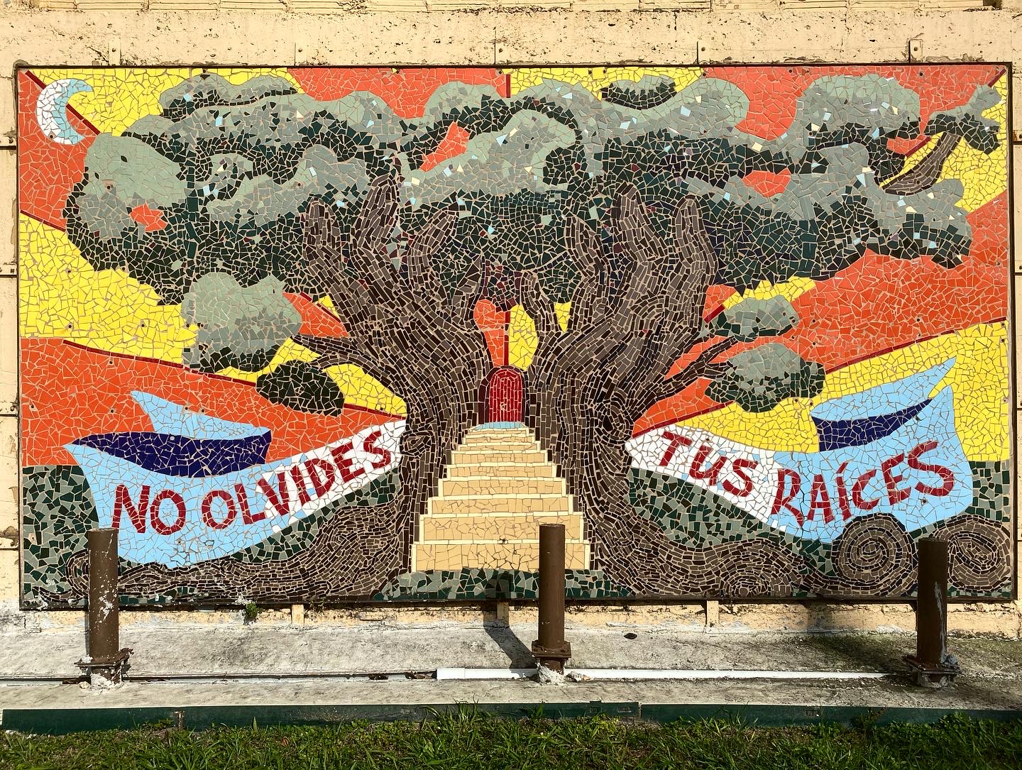 Photo May 29, 4 28 37 PM (1)